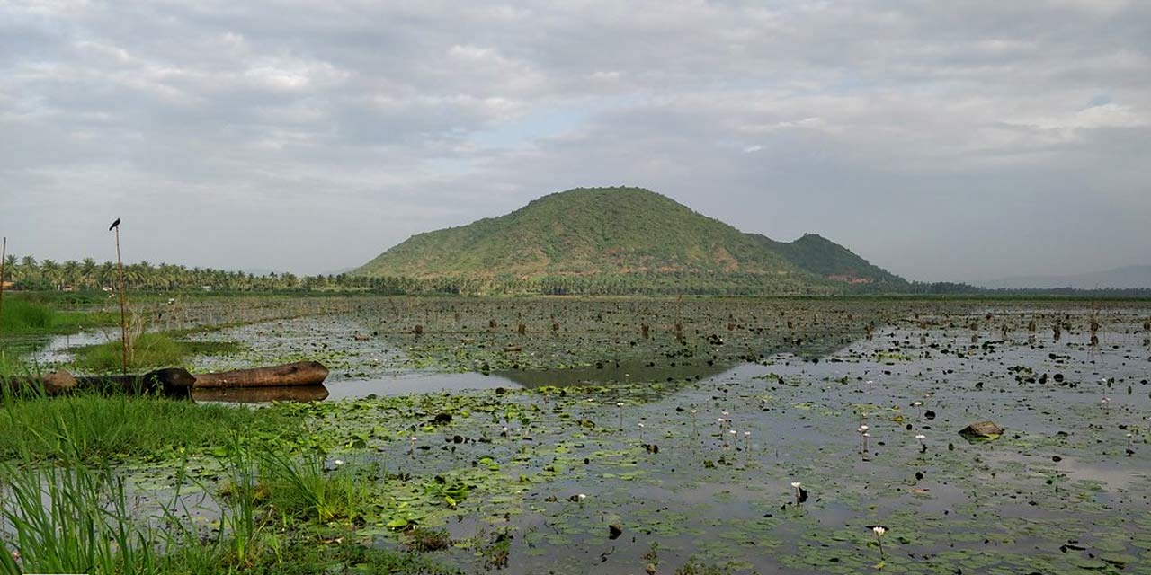 Kondakarla Bird Sanctuary Tourist Attraction