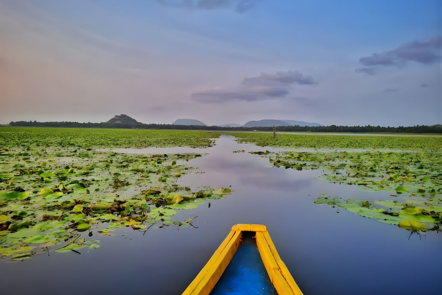 Kondakarla Bird Sanctuary, Vizag Top Places to Visit